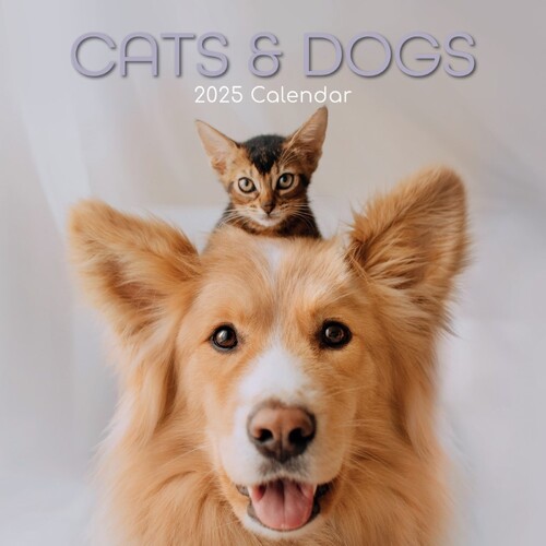 Cats & Dogs - 2025 Square Wall Calendar 16 month by Gifted Stationery