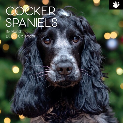 Cocker Spaniels - 2025 Square Wall Calendar 16 month by Gifted Stationery