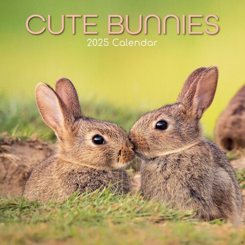 Cute Bunnies - 2025 Square Wall Calendar 16 month by Gifted Stationery