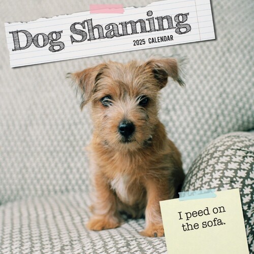 Dog Shaming - 2025 Square Wall Calendar 16 month by Gifted Stationery