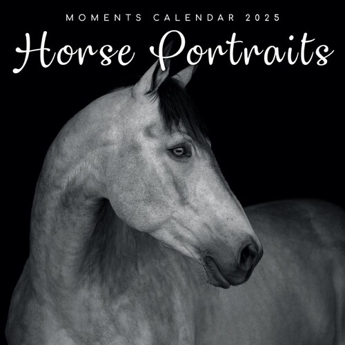 Horse Portraits - 2025 Square Wall Calendar 16 month by Gifted Stationery