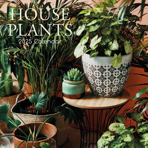 House Plants - 2025 Square Wall Calendar 16 month by Gifted Stationery