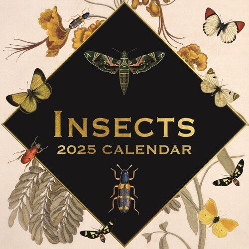 Insects - 2025 Square Wall Calendar 16 month by Gifted Stationery