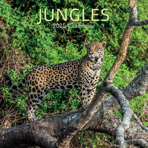 Jungles - 2025 Square Wall Calendar 16 month by Gifted Stationery