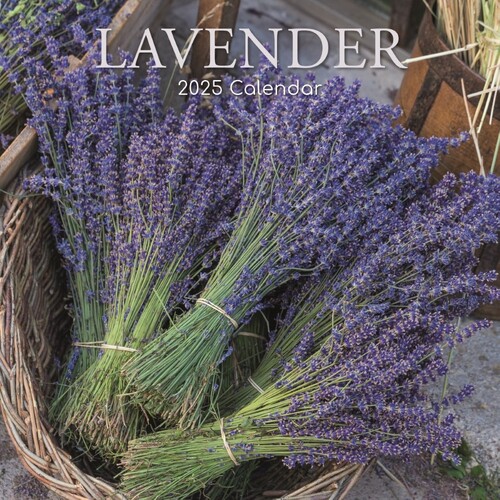 Lavender - 2025 Square Wall Calendar 16 month by Gifted Stationery