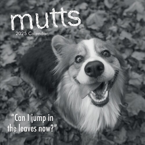 Mutts - 2025 Square Wall Calendar 16 month by Gifted Stationery