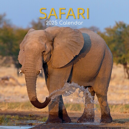 Safari - 2025 Square Wall Calendar 16 month by Gifted Stationery