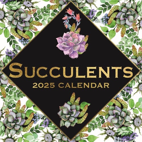 Succulents - 2025 Square Wall Calendar 16 month by Gifted Stationery