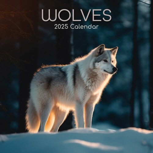 Wolves - 2025 Square Wall Calendar 16 month by Gifted Stationery