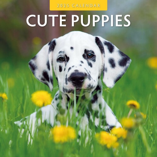 Cute Puppies - 2025 Square Wall Calendar 16 month by Red Robin