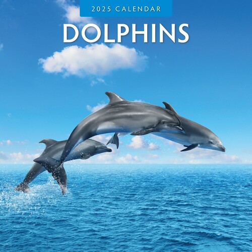 Dolphins - 2025 Square Wall Calendar 16 month by Red Robin