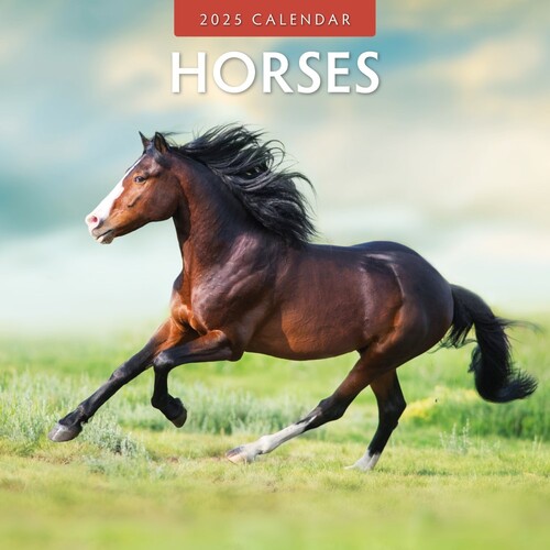 Horses - 2025 Square Wall Calendar 16 month by Red Robin