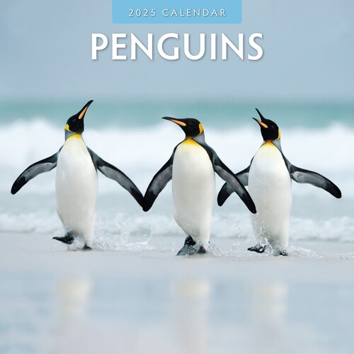 Penguins - 2025 Square Wall Calendar 16 month by Red Robin