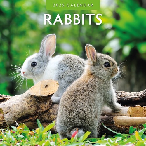 Rabbits - 2025 Square Wall Calendar 16 month by Red Robin