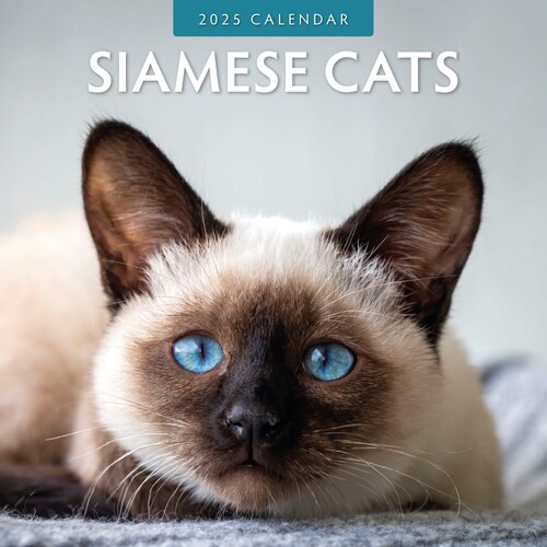 Siamese Cats - 2025 Square Wall Calendar 16 month by Red Robin