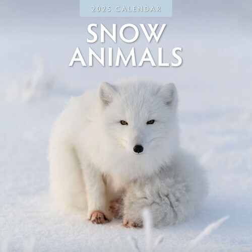 Snow Animals - 2025 Square Wall Calendar 16 month by Red Robin