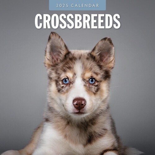 Crossbreeds - 2025 Square Wall Calendar 16 month by Red Robin