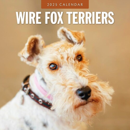 Wire Fox Terriers - 2025 Square Wall Calendar 16 month by Red Robin