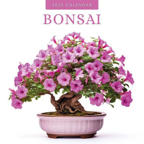 Bonsai - 2025 Square Wall Calendar 16 month by Red Robin