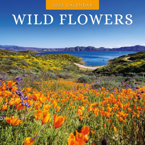 Wild Flowers - 2025 Square Wall Calendar 16 month by Red Robin