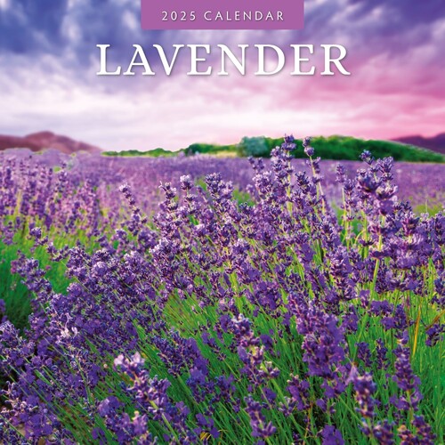 Lavender - 2025 Square Wall Calendar 16 month by Red Robin